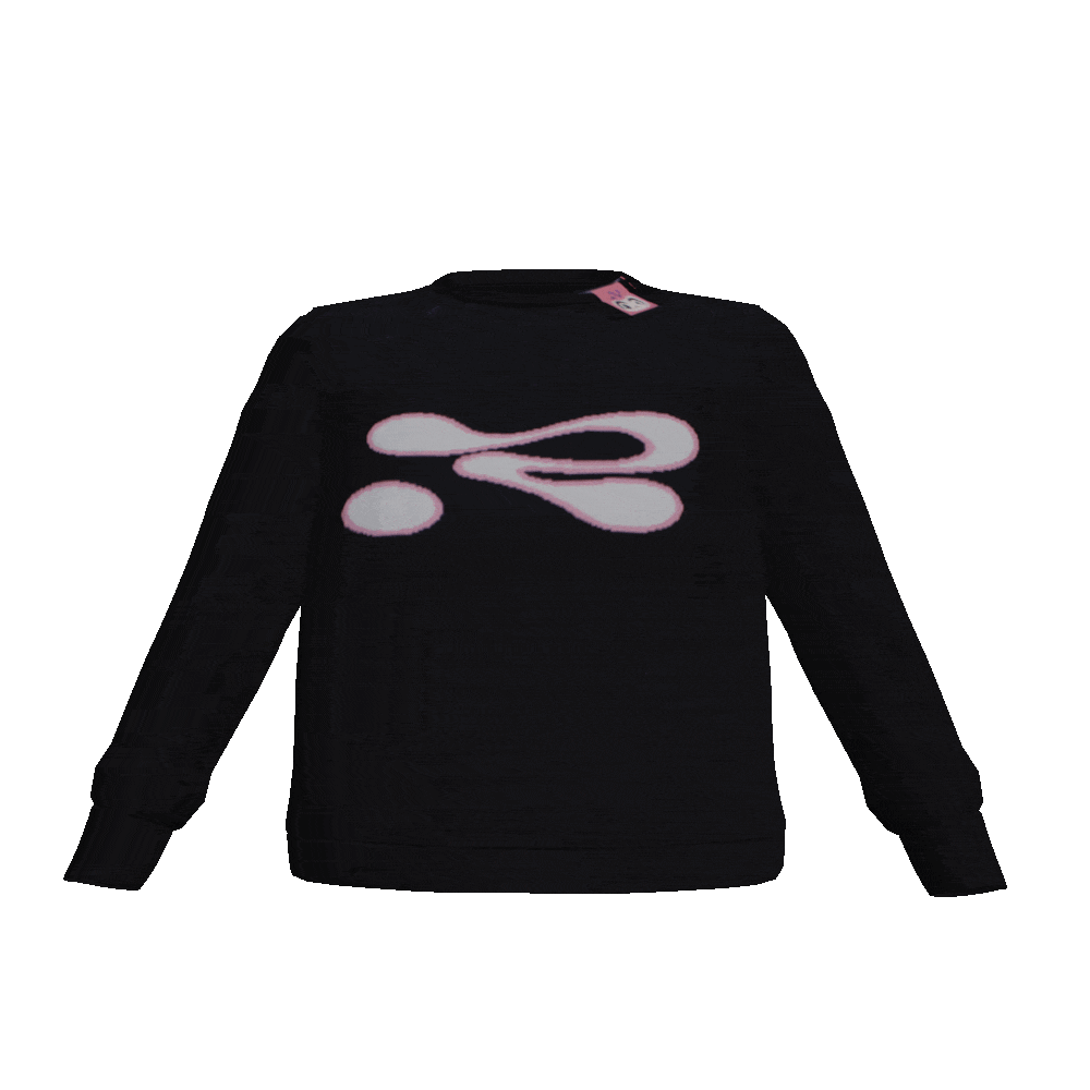Black sweatshirt with a pink and white logo on a white background
